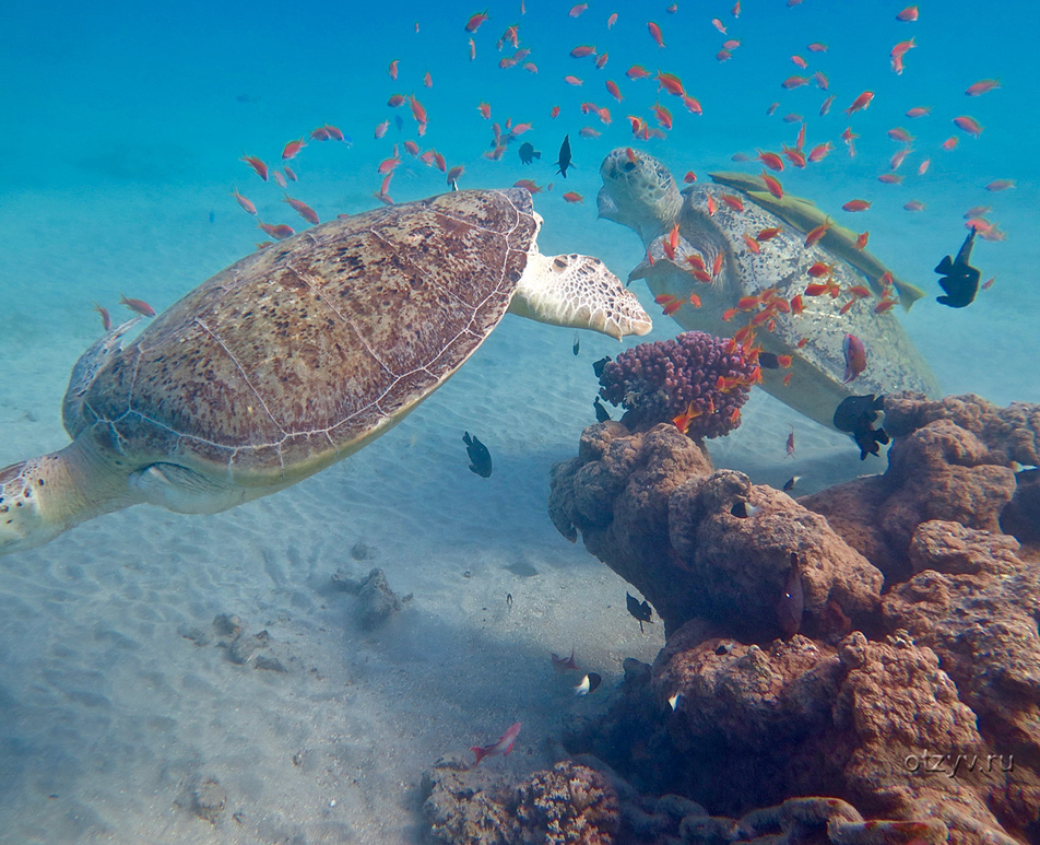 Marsa Alam